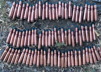 На Миколаївщині місцевого мешканця викрили на незаконному збуті боєприпасів та набоїв (ФОТО)