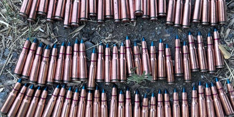 На Миколаївщині місцевого мешканця викрили на незаконному збуті боєприпасів та набоїв (ФОТО)