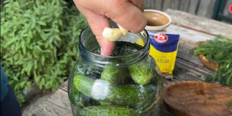 Думаєте, знаєте про консервацію все? А ось вам – мариновані огірки, в’ялені на сонці (ВІДЕО)