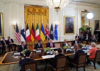 Хороша зустріч. Що сказали європейські лідери перед закритою зустріччю із Трампом