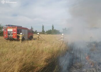 За добу на Миколаївщині було 37 пожеж – що гасили (ФОТО)