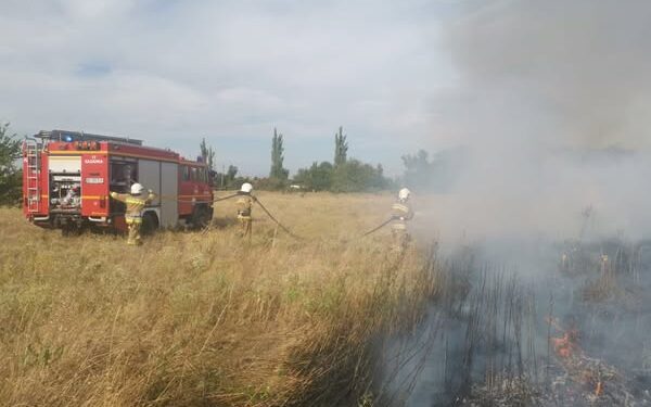 За добу на Миколаївщині було 37 пожеж – що гасили (ФОТО)
