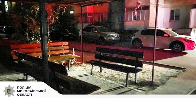 В Миколаєві у дворі на Озерній алкогольна сварка закінчилась різаниною