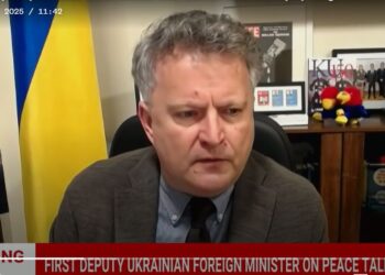 Зеленський готовий обговорювати територіальні питання з Путіним, але не обмін,  – Кислиця