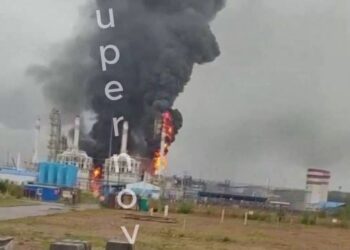 Дрони атакували порт Усть‑Луга у Ленінградській області (ВІДЕО)