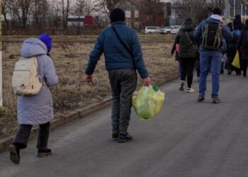 З початку року понад 5 тисяч українців незаконно перетнули кордон із Румунією