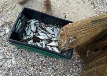 На Миколаївщині затримали чергового браконьєра – завдав збитків на понад 1 млн.грн. (ФОТО)