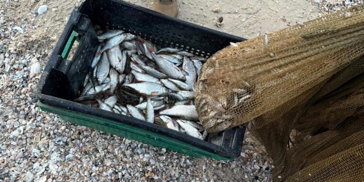 На Миколаївщині затримали чергового браконьєра – завдав збитків на понад 1 млн.грн. (ФОТО)