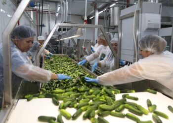 Під Тернополем запрацював новий консервний завод. Що випускає (ФОТО)