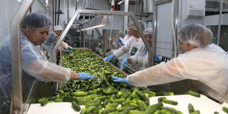 Під Тернополем запрацював новий консервний завод. Що випускає (ФОТО)