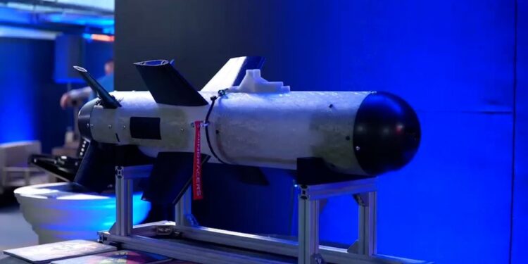Нові українські надруковані на 3D-принтері керовані авіабомби  – що це і чи вже працює (ФОТО, ВІДЕО)