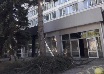 У Миколаєві знову пожертвували деревом заради магазину (ФОТО)