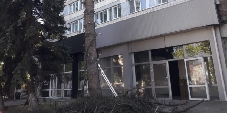 У Миколаєві знову пожертвували деревом заради магазину (ФОТО)