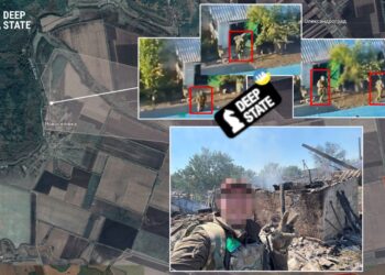 СОУ ліквідували основну частину росіян, які прорвалися у Новоселівку, – DeepState