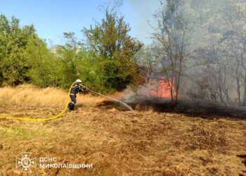 На Миколаївщині протягом доби загасили 23 пожежі – що горіло (ФОТО)