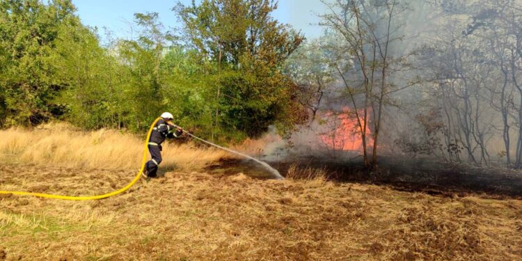 На Миколаївщині протягом доби загасили 23 пожежі – що горіло (ФОТО)