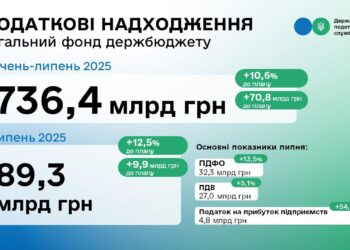 Леся Карнаух: ДПС за 7 місяців перевиконала план надходжень до бюджету на понад 70 млрд гривень