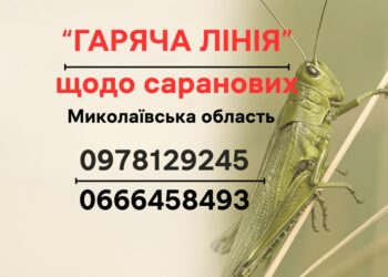На Миколаївщині відкрили «гарячу лінію» щодо саранових – куди телефонувати