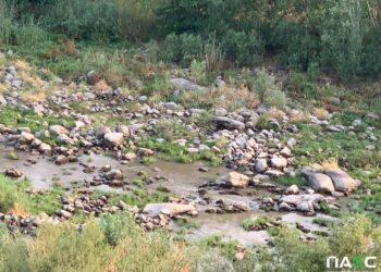 Водна криза на Південному Бузі