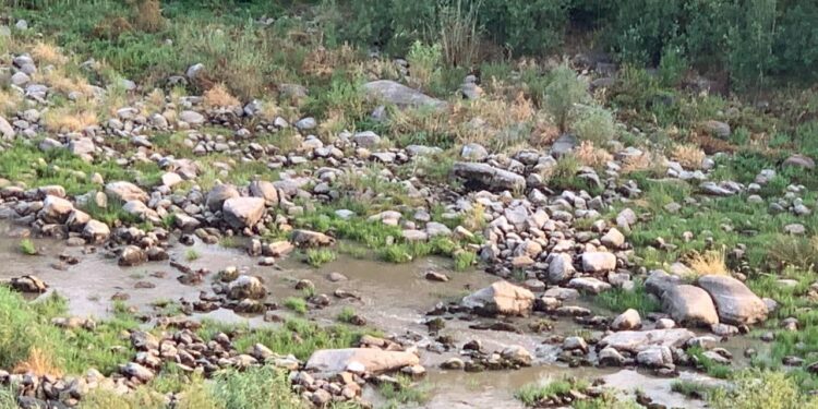 Водна криза на Південному Бузі