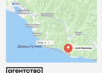 Дрони підпалили ліс біля палацу путіна