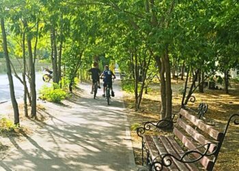 У Миколаєві розгортається новий скандал – під будівництво магазину віддали зелену зону, де зрубають 43 дерева (ФОТО, ВІДЕО)