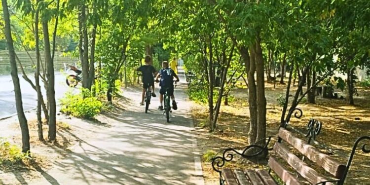 У Миколаєві розгортається новий скандал – під будівництво магазину віддали зелену зону, де зрубають 43 дерева (ФОТО, ВІДЕО)