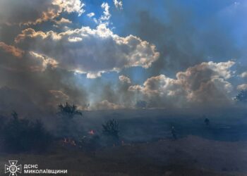 На Миколаївщині горить Новопетрівське лісове урочище (ФОТО)