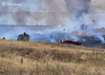 Велика пожежа біля Миколаєва – горить трава та чагарники (ФОТО)