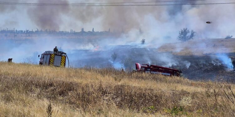 Велика пожежа біля Миколаєва – горить трава та чагарники (ФОТО)