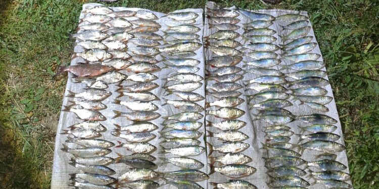 На Миколаївщині впіймали браконьєра, який незаконною риболовлею завдав школи на понад 335 тис.грн. (ФОТО)