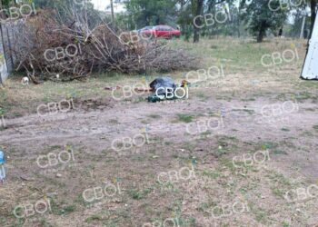 На Криворіжжі поліцейські застрелили на фермі нападника з ножем (ФОТО)