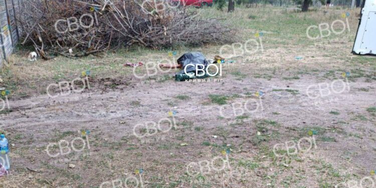 На Криворіжжі поліцейські застрелили на фермі нападника з ножем (ФОТО)