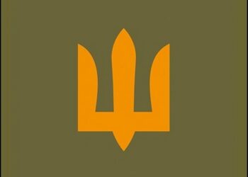 У липні підтвердилось лише 14% повідомлень про інциденти з ТЦК