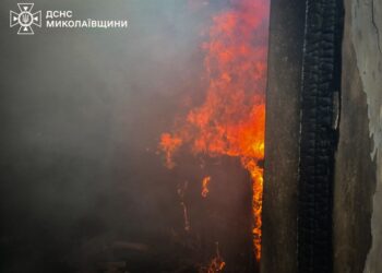 Під Миколаєвом внаслідок обстрілу горіла дача (ФОТО)