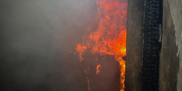 Під Миколаєвом внаслідок обстрілу горіла дача (ФОТО)