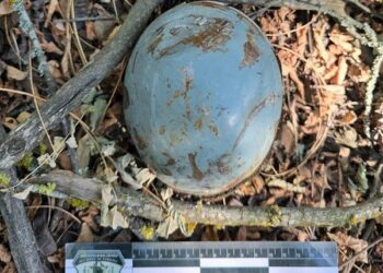 На Миколаївщині поліцейські вибухотехніки знищили ворожі суббоєприпаси до крилатої ракети (ФОТО)