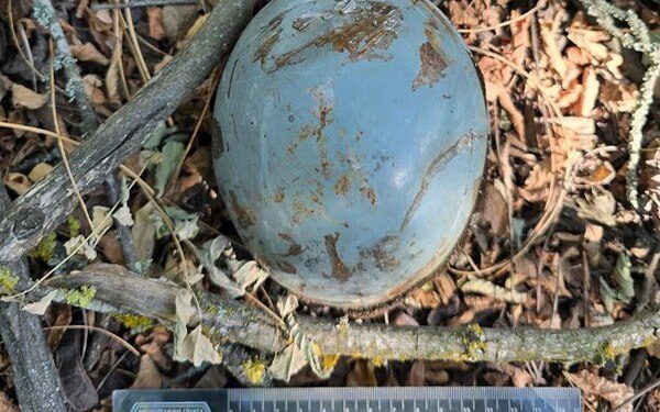 На Миколаївщині поліцейські вибухотехніки знищили ворожі суббоєприпаси до крилатої ракети (ФОТО)