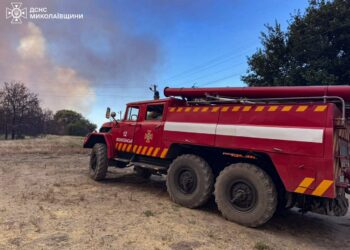 На Миколаївщини горить ліс – зараз площа пожежі становить 10 га (ФОТО)