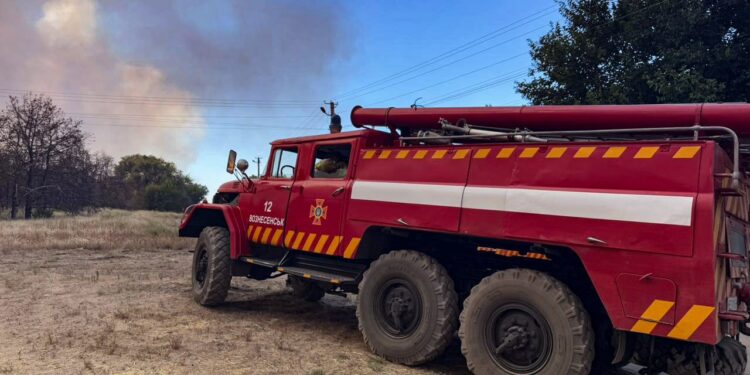 На Миколаївщини горить ліс – зараз площа пожежі становить 10 га (ФОТО)