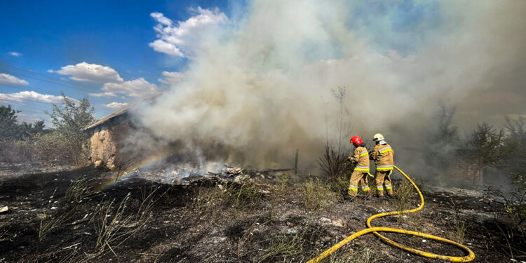 На Миколаївщині за добу зареєстровано 45 пожеж – загальна площа загорянь сягнула 69 га (ФОТО)