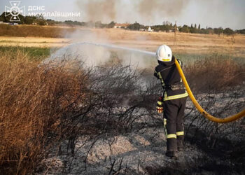 На Миколаївщині за добу було 45 пожеж – що горіло (ФОТО)
