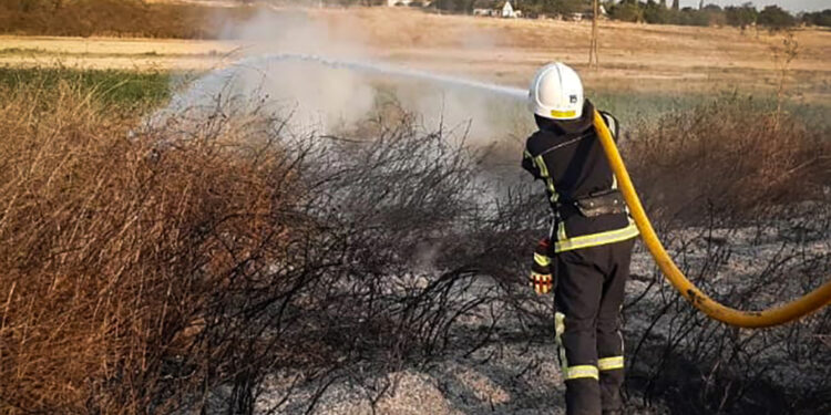 На Миколаївщині за добу було 45 пожеж – що горіло (ФОТО)