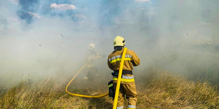 На Миколаївщині за добу було 42 пожежі – вигоріло майже 40 га (ФОТО)