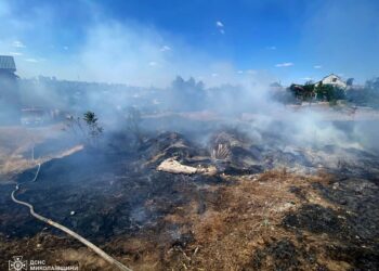 У Миколаєві під час пожежі сухостою постраждала літня жінка (ФОТО)
