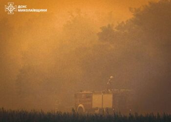 Триває гасіння пожежі в Андріївському лісовому урочищі на Миколаївщині (ФОТО)