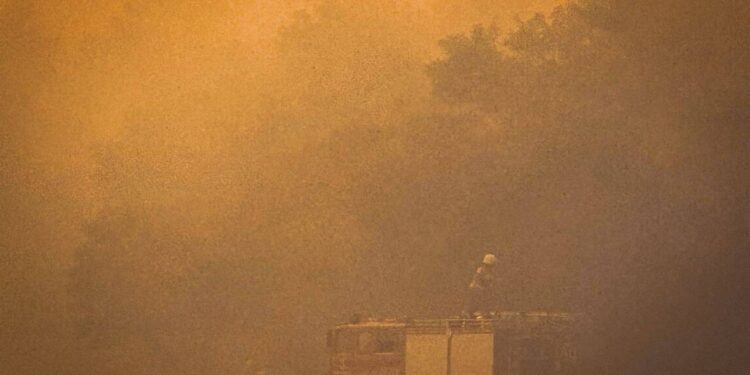 Триває гасіння пожежі в Андріївському лісовому урочищі на Миколаївщині (ФОТО)