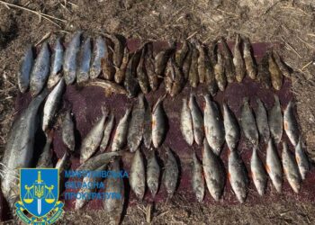 На Миколаївщині затримано чергового браконьєра, який завдав шкоди на 200 тис.грн. (ФОТО)