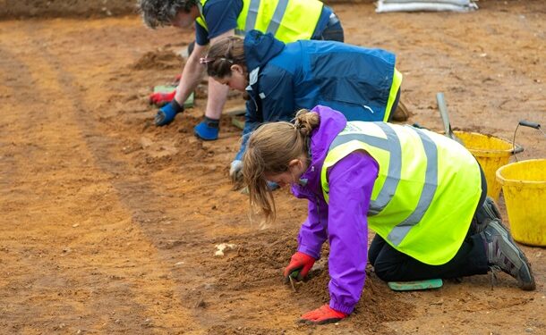 Шукають Бурштинову кімнату: у Польщі почалися розкопки