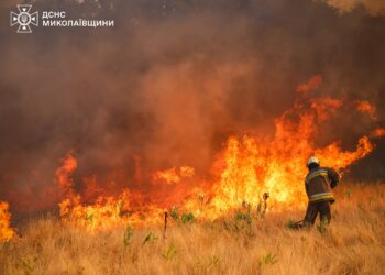 На Миколаївщині горів ліс у Андріївському лісовому урочищі (ФОТО, ВIДЕО)